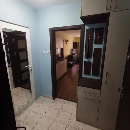 двустаен в центъра на гр.