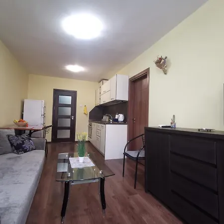 двустаен в центъра на гр. *