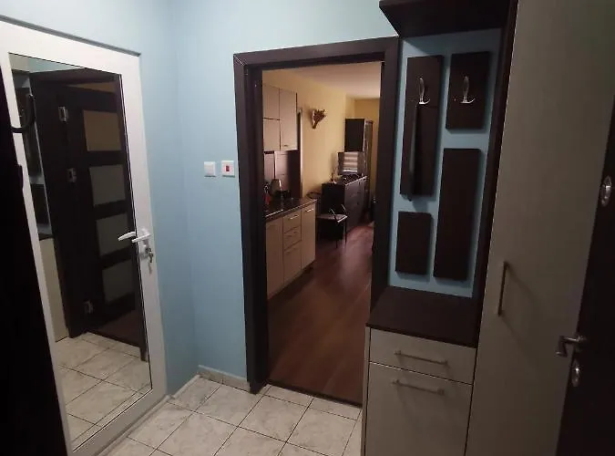 двустаен в центъра на гр.